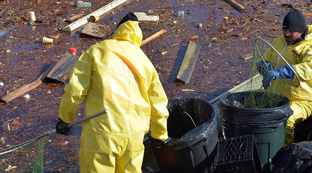 people explaining what environmental services are