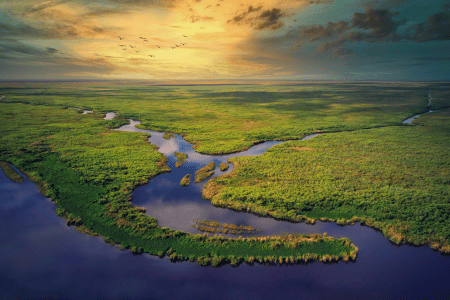 Florida Everglades during sunset