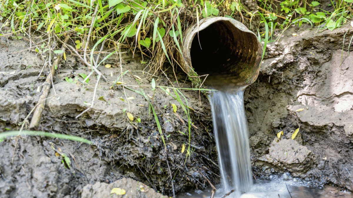 Everything You Need to Know About NPDES Services Permit