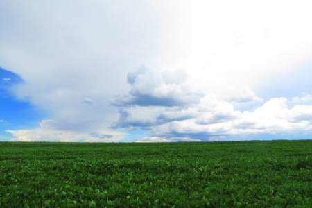 An untouched greenfield site with a blue cloudy sky above