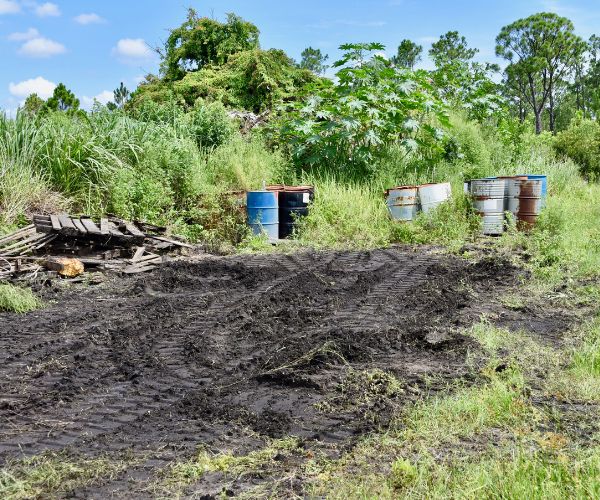 Overgrown site with abandoned barrels.