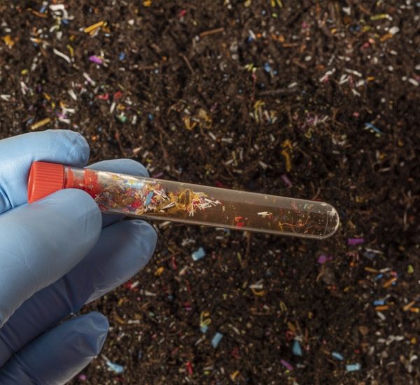 soil samples taken during remedial investigation services